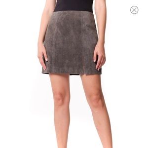 BLANKNYC Suede Miniskirt Color: Road Trip (26)